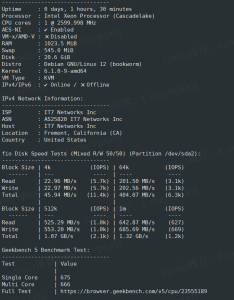 搬瓦工新款$17/年的 MINICHICKEN 限量套餐-麦兜博客